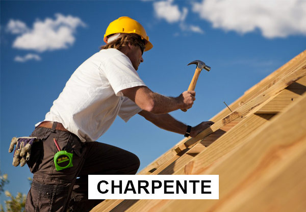 BRIONTOITURE 49 : Travaux de charpente, couverture, zinguerie, faîtage, Nettoyage démoussage et peinture hydrofuge toiture, Ravalement Façade, pose de bardage … intervention en Maine-et-Loire 49 Indre-et-Loire 37 Deux-Sèvres 79 Vienne 86