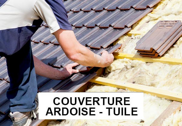 BRIONTOITURE 49 : Travaux de charpente, couverture, zinguerie, faîtage, Nettoyage démoussage et peinture hydrofuge toiture, Ravalement Façade, pose de bardage … intervention en Maine-et-Loire 49 Indre-et-Loire 37 Deux-Sèvres 79 Vienne 86