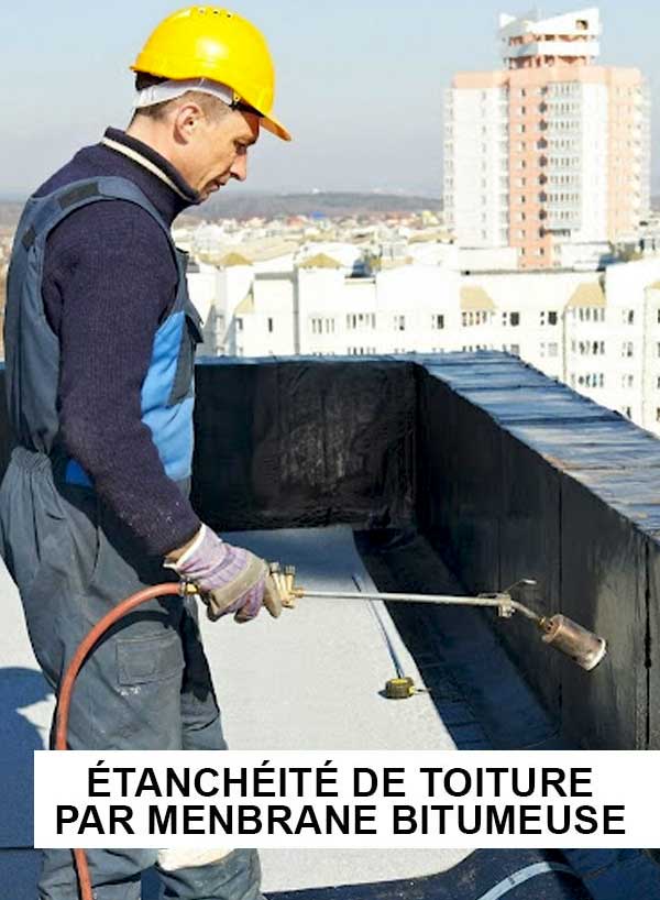 BRIONTOITURE 49 : Travaux de charpente, couverture, zinguerie, faîtage, Nettoyage démoussage et peinture hydrofuge toiture, Ravalement Façade, pose de bardage … intervention en Maine-et-Loire 49 Indre-et-Loire 37 Deux-Sèvres 79 Vienne 86