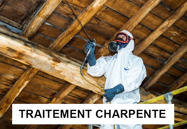 BRIONTOITURE 49 : Travaux de charpente, couverture, zinguerie, faîtage, Nettoyage démoussage et peinture hydrofuge toiture, Ravalement Façade, pose de bardage … intervention en Maine-et-Loire 49 Indre-et-Loire 37 Deux-Sèvres 79 Vienne 86